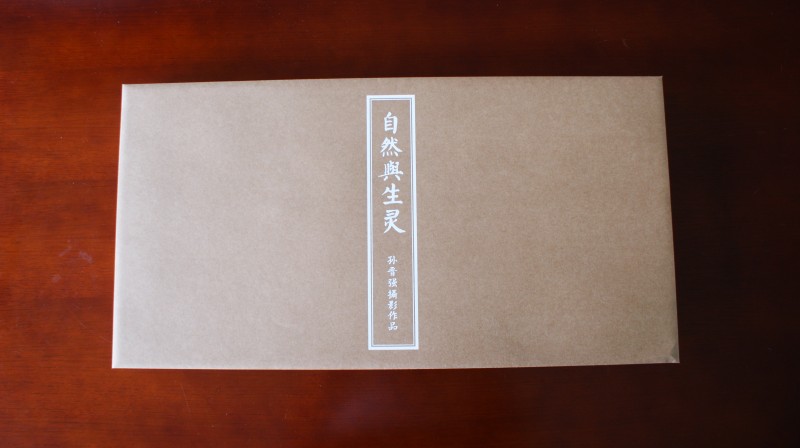 自然与生灵 (9)