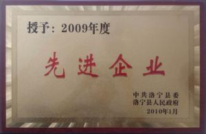 公司荣誉_3
