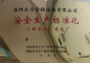 公司荣誉_7