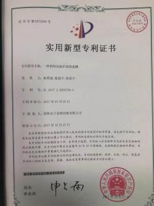 公司***证书9